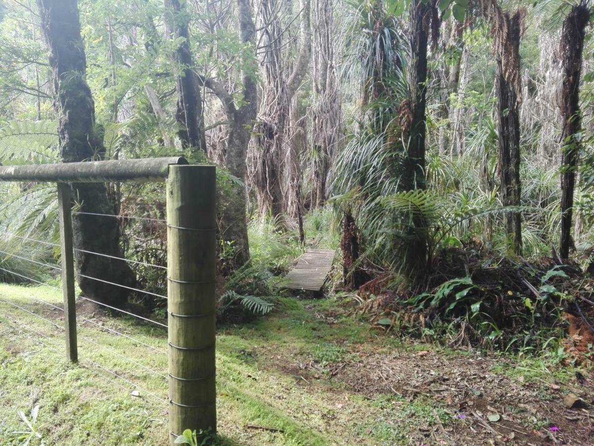 Apartament Taranaki Experience New Plymouth Zewnętrze zdjęcie