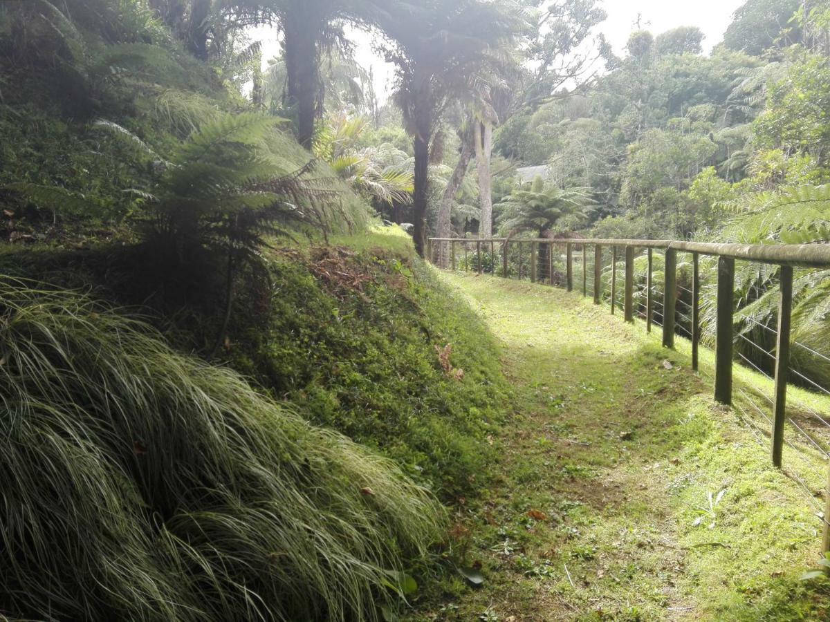 Apartament Taranaki Experience New Plymouth Zewnętrze zdjęcie