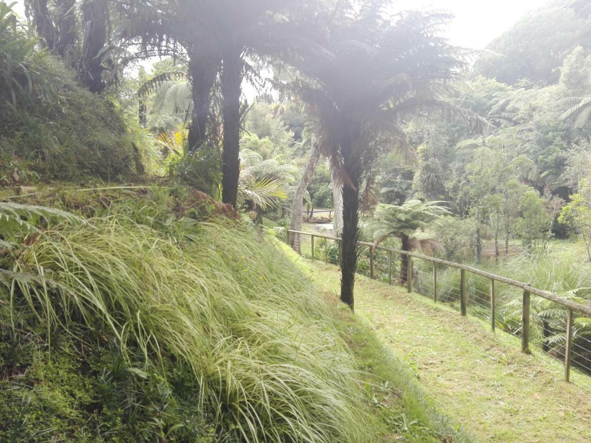 Apartament Taranaki Experience New Plymouth Zewnętrze zdjęcie